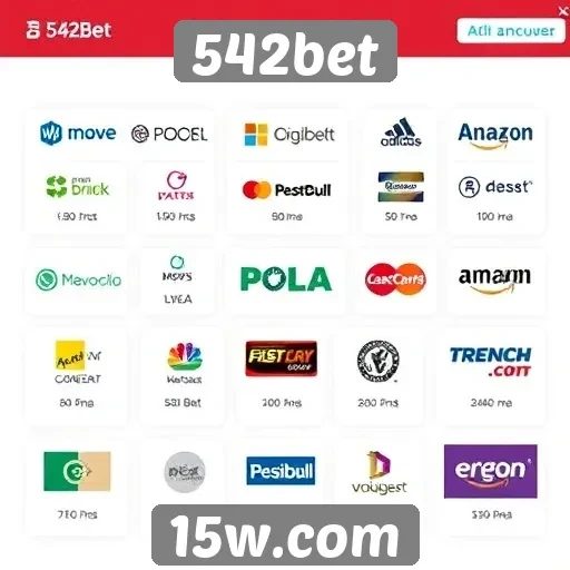 Exploração das opções de pagamento no 542bet